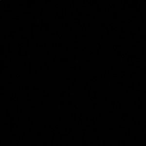 Meet your Posher, Frank